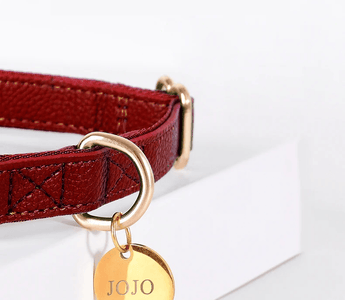 Top-Quality Personalised Dog Collars for Your Furry Friends - Pawsy