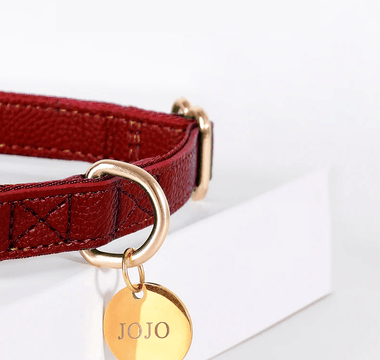 Top-Quality Personalised Dog Collars for Your Furry Friends - Pawsy