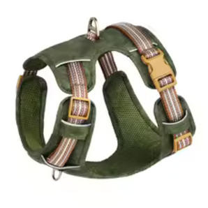 No-Pull Dog Harness in Green