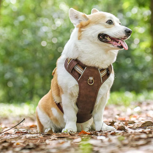 No-Pull Dog Harness in Brown