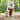 No-Pull Dog Harness in Burgundy
