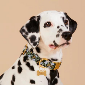 Custom Dog Tags - Gold Bone