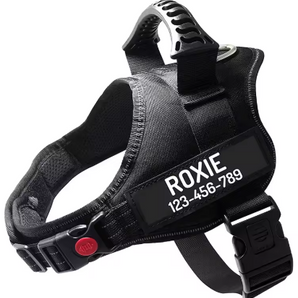 No-Pull Dog Harness with Name