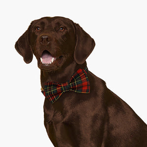 Tartan Holiday Dog Bow Tie & Collar Set