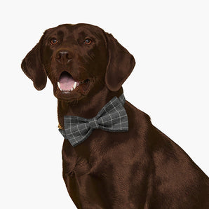Grey Plaid Dog Bow Tie & Collar Set with Name