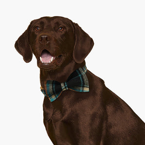Teal Plaid Dog Bow Tie & Collar Set with Name